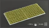 gamer-s-grass-mixed-green-small-6mm-stan-nowy