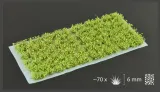 gamer-s-grass-green-shrubs-wild-6mm-stan-nowy