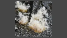 gamer-s-grass-spikey-winter-12mm