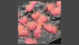 gamer-s-grass-alien-pink-6mm