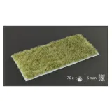 gamer-s-grass-light-brown-wild-6mm-stan-nowy