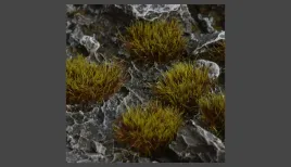 gamer-s-grass-swamp-xl-wild-8mm