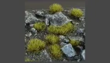 gamer-s-grass-swamp-wild-4mm