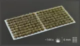 gamer-s-grass-burned-tufts-small-6mm-stan-nowy