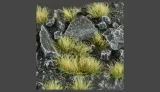 gamer-s-grass-autumn-wild-5mm