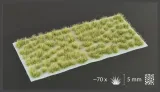 gamer-s-grass-autumn-wild-5mm-stan-nowy