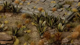 gamer-s-grass-laser-plants-agave-agawa