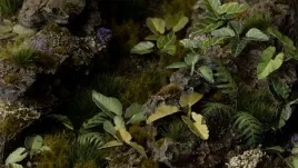 gamer-s-grass-laser-plants-elephant-ear-kolokazja