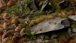 gamer-s-grass-laser-plants-dry-bracken-wysuszona-paproc