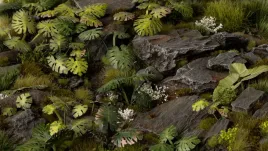 gamer-s-grass-laser-plants-monstera