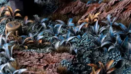 gamer-s-grass-laser-plants-alien-fern-paproc