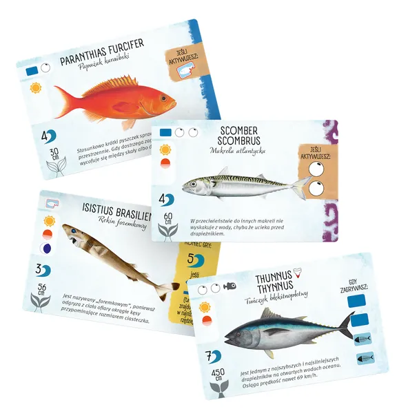 na-dnie-morza-stan-nowy-nazwa-na-dnie-morza