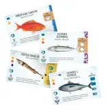 na-dnie-morza-stan-nowy-nazwa-na-dnie-morza