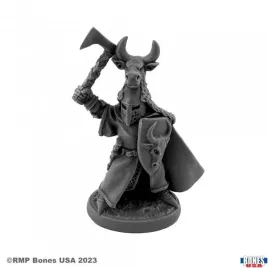 reaper-miniatures-sir-guy-the-red