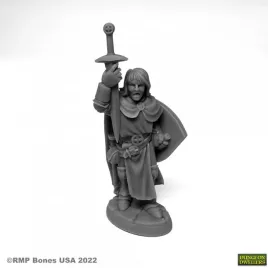 reaper-miniatures-sir-danarel-the-holy