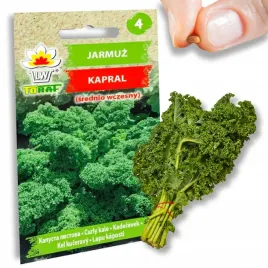 nasiona-warzyw-jarmuz-kapral-bogaty-w-witaminy-a-i-b