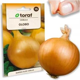 cebula-nasiona-cebuli-globo-pozna-bardzo-duze-cebule-gigant-salatkowa-2g