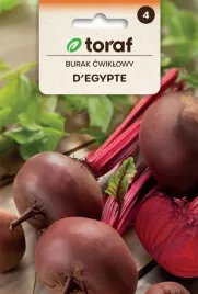 burak-cwiklowy-d-egypte-nasiona-10g-toraf-15