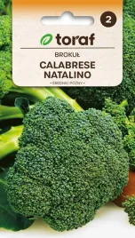 brokul-calabrese-natalino-nasiona-1g-toraf-11