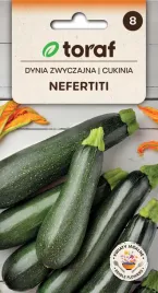 cukinia-nefertiti-nasiona-3g-toraf-29