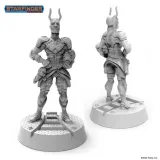 starfinder-miniatures-lashunta-envoy-stan-nowy