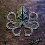 tacka-na-kosci-kraken-nazwa-tacka-na-kosci-kraken