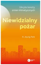 niewidzialny-pozar-ukryte-koszty-zmian