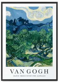plakat-van-gogh-olive-trees-61x91-cm-w-czarnej-ramie