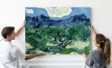 obraz-na-plotnie-van-gogh-olive-trees-80x120-cm-stan-nowy
