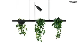 moosee-lampa-wiszaca-plant-line-czarna