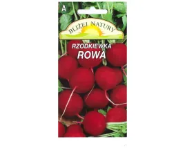 rzodkiewka-okragla-rowa-czerwona