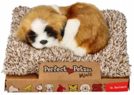 perfect-petzzz-szczeniaczek-bernardyn