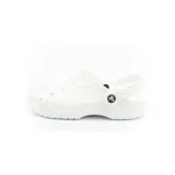10126100