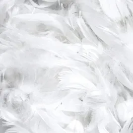 piorka-dekoracyjne-ozdobne-60g-biale-white