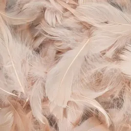 piorka-dekoracyjne-ozdobne-60g-cieliste-nude-bezowe