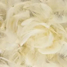 piorka-dekoracyjne-ozdobne-60g-ecru-kremowe