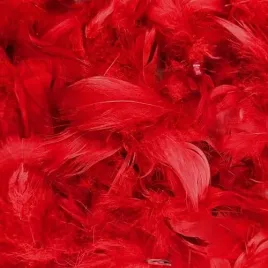 piorka-dekoracyjne-ozdobne-naturalne-60g-czerwone-red