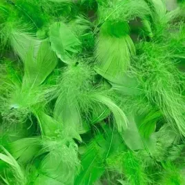 piorka-dekoracyjne-ozdobne-60g-zielone-green-wiosenne-naturalne