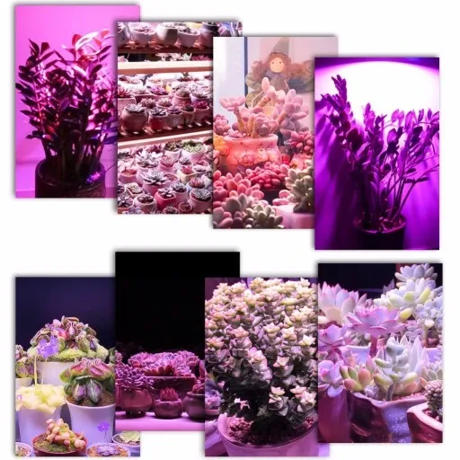 zarowka-led-grow-light-do-uprawy-roslin-40w-e27-stan-opakowania-oryginalne