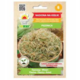 pszenica-nasiona-na-kielki-50g