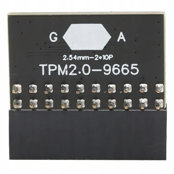 modul-zabezpieczen-tpm-2-0-gigabyte-platform-rodzaj-inne-kod-producenta-897751376