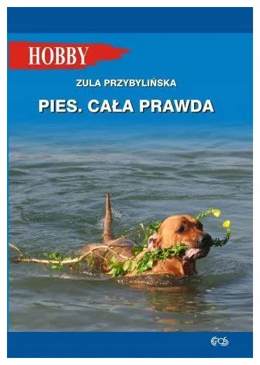 pies-cala-prawda-zula-przybylinska