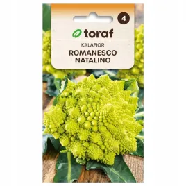 nasiona-warzyw-kalafior-romanesco-delikatny-smak-bez-goryczki