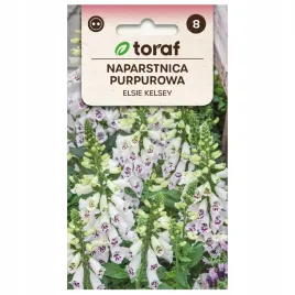 naparstnica-purpurowa-elsie-kelsey-biala-miododajna-nasiona-kwiatow