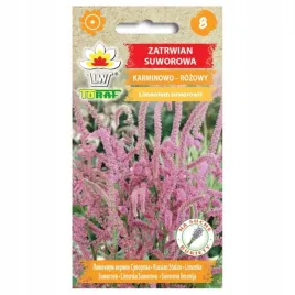 zatrwian-suworowa-karminowo-rozowy-limonium-suworowii-nasiona-01-g