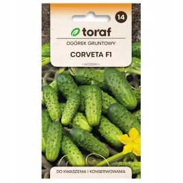 ogorek-gruntowy-corveta-f1-3g-wczesny-do-kwaszenia-i-konserwowania