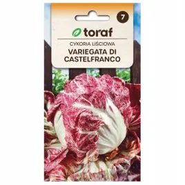 cykoria-lisciowa-variegata-di-castelfranco-5g-zawiera-intybiny-i-inuliny