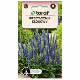 przetacznik-klosowy-nasiona-kwiatow-01g-toraf-bylina