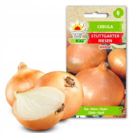 cebula-stuttgarter-riesen-nasiona-warzyw-3g-toraf-nasiona