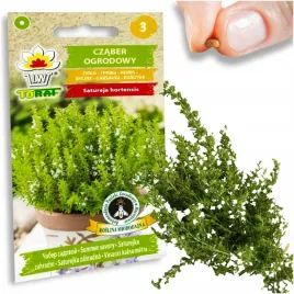 nasiona-ziol-czaber-ogrodowy-korzenny-aromatyczny-zapach